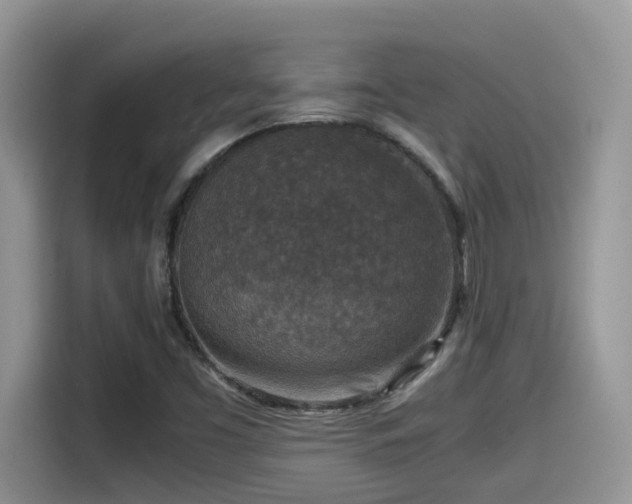 X0000115541453200911131534