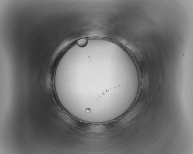 X0000115541454200911131534