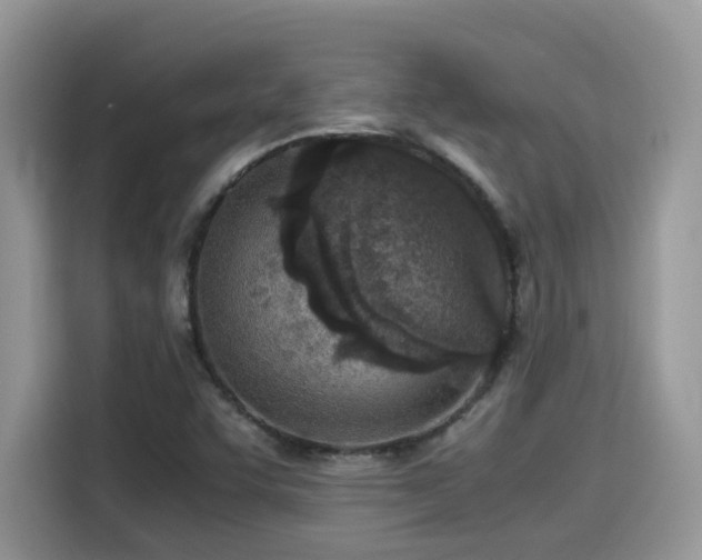 X0000115541455200911131534