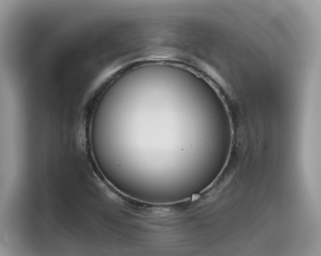 X0000115541456200911131534