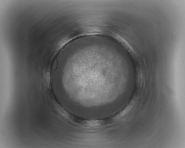 X0000115541457200911131534