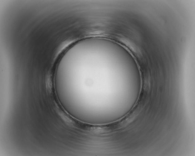 X0000115541458200911131534