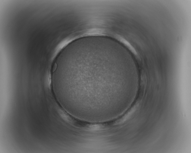 X0000115541461200911131534