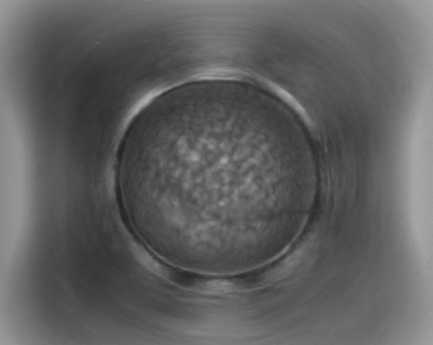 X0000115541463200911131534