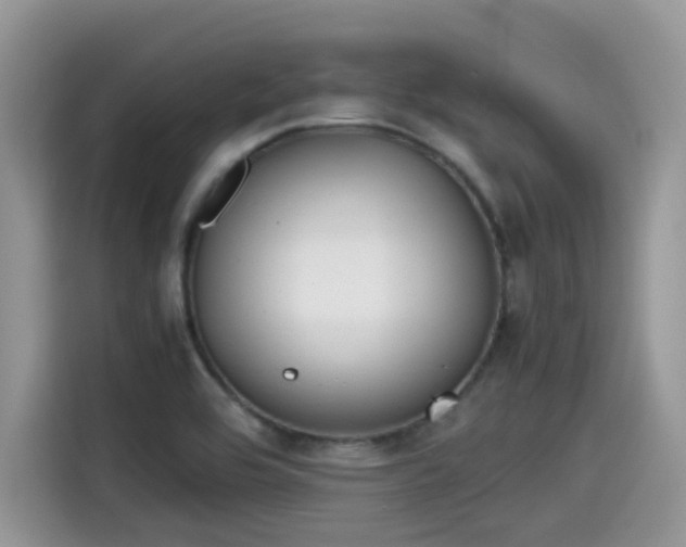 X0000115541464200911131534