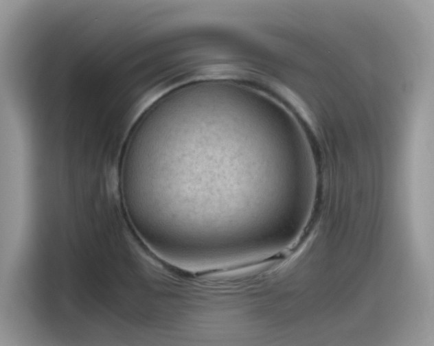 X0000115541465200911131534