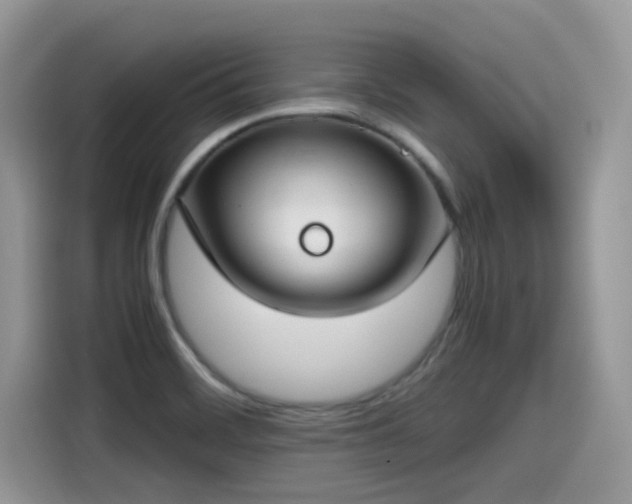 X0000115541468200911131534