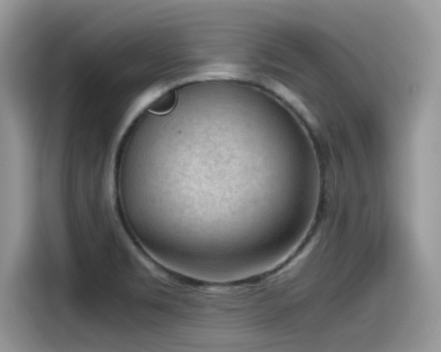 X0000115541469200911131534