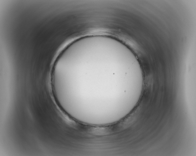 X0000115541470200911131534