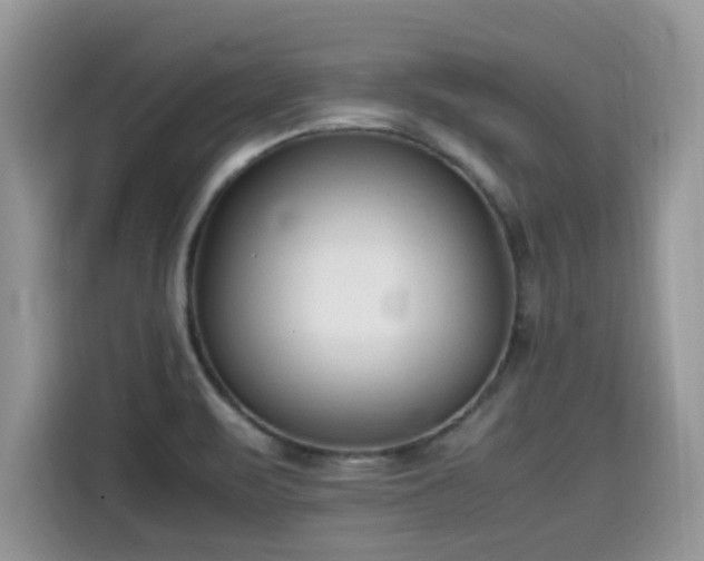 X0000115541471200911131534