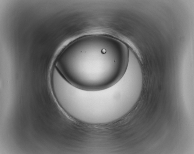 X0000115541472200911131534