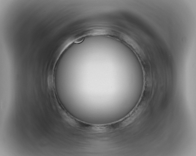 X0000115541473200911131534