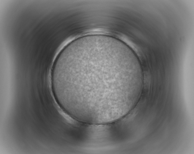 X0000115541474200911131534