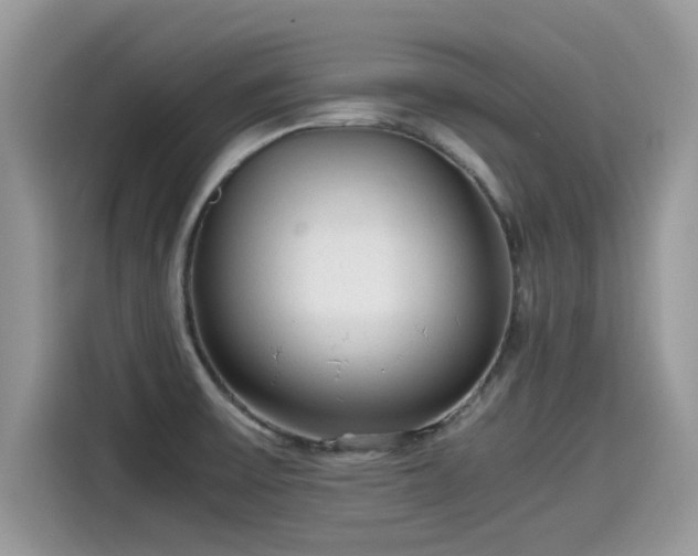 X0000115541475200911131534