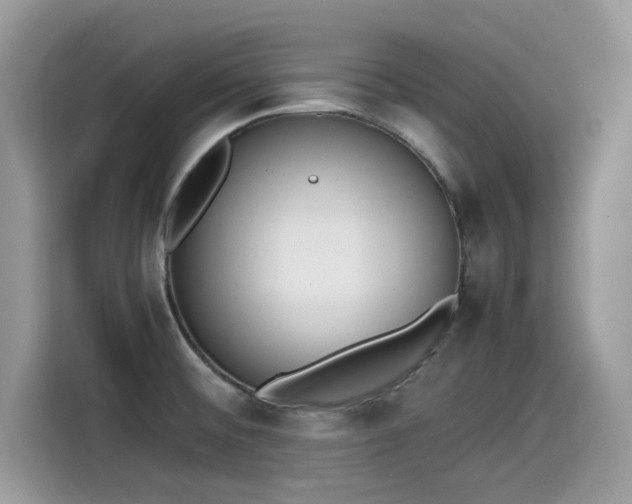 X0000115541476200911131534