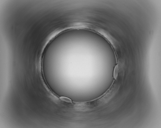 X0000115541477200911131534