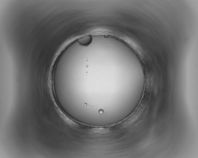 X0000115541478200911131534