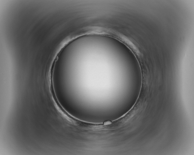 X0000115541479200911131534