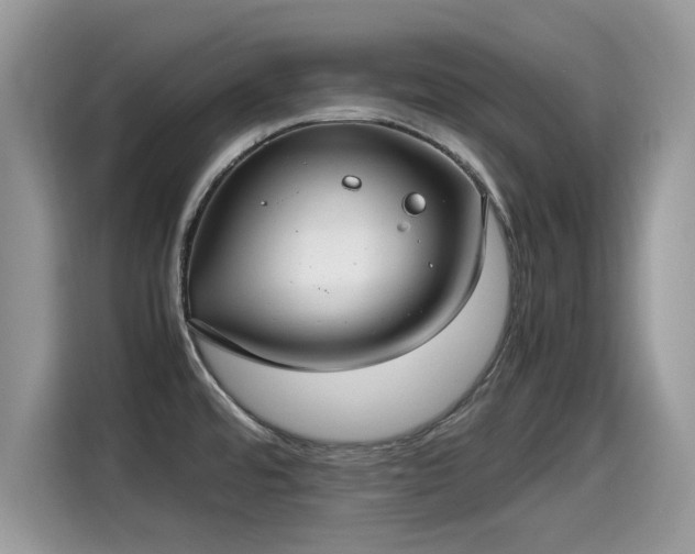 X0000115541480200911131534