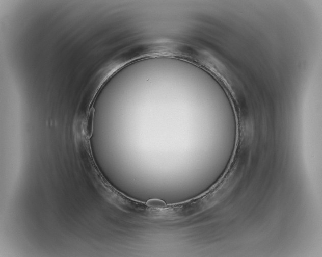 X0000115541481200911131534