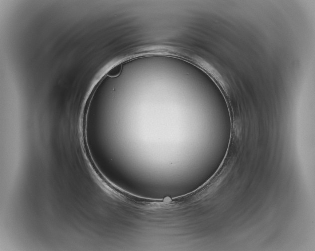 X0000115541482200911131534