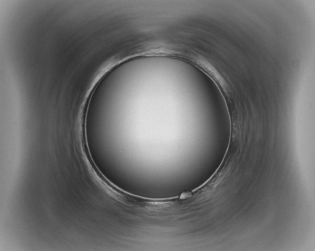 X0000115541483200911131534