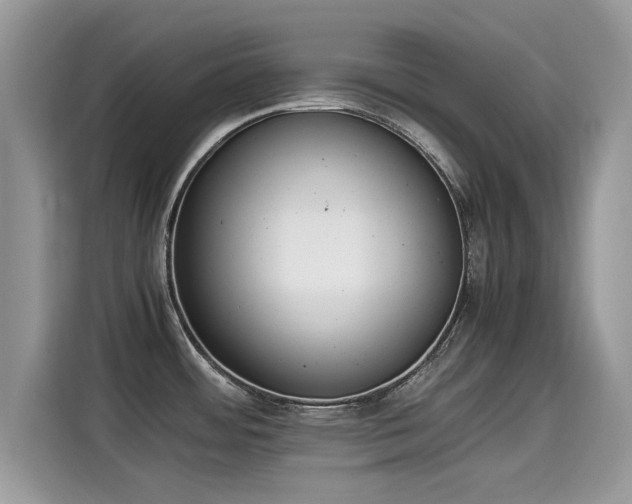 X0000115541484200911131534