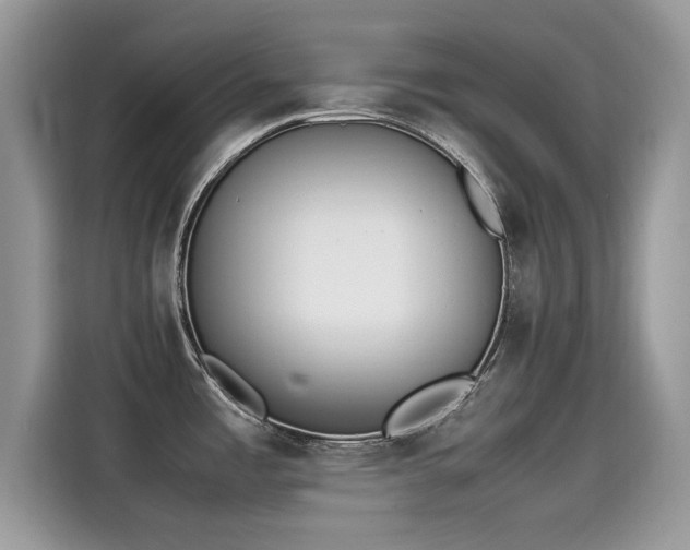 X0000115541485200911131534