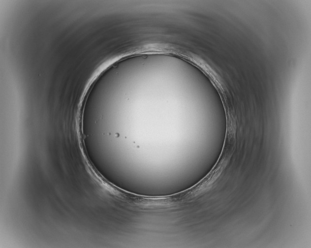 X0000115541486200911131534