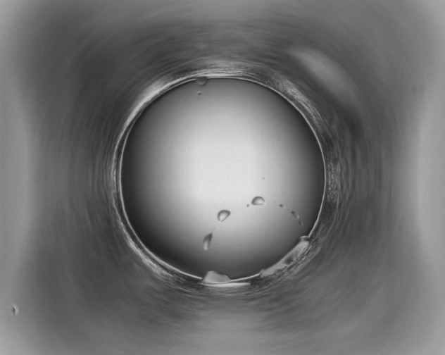 X0000115541487200911131534