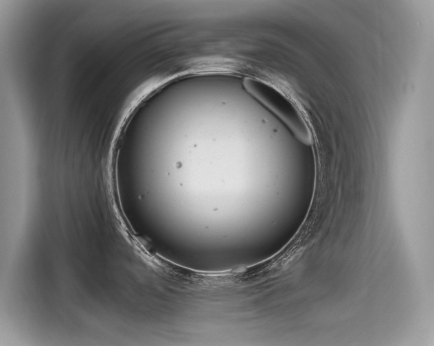 X0000115541488200911131534