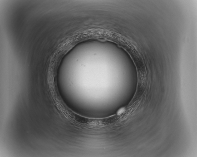 X0000115541489200911131533