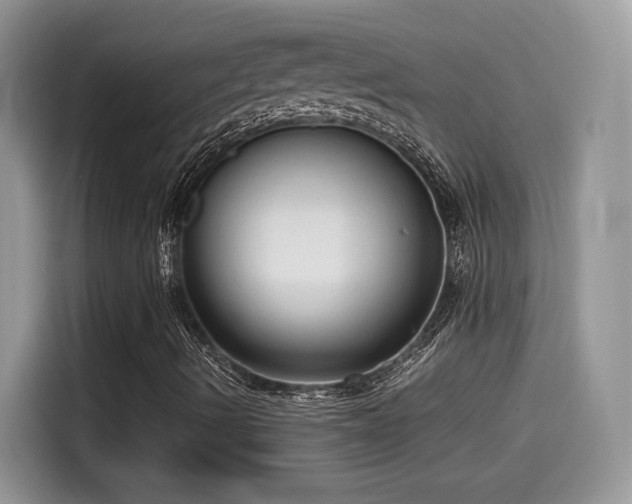 X0000115541490200911131533