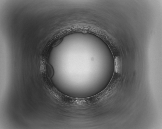 X0000115541491200911131533