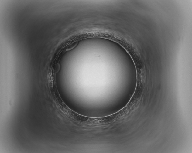 X0000115541493200911131533