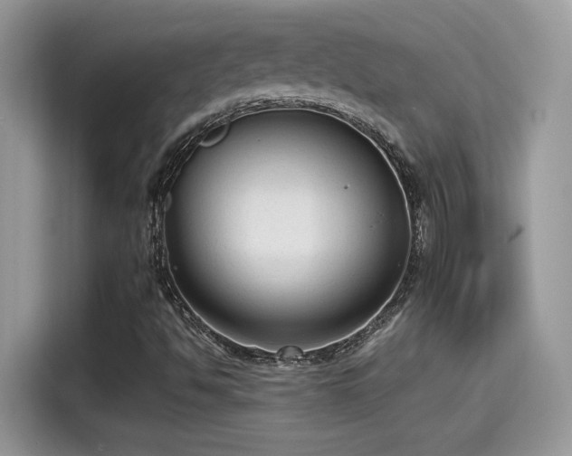 X0000115541494200911131533