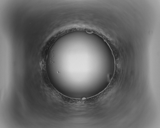 X0000115541495200911131533