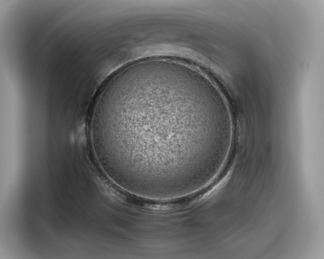 X0000115541497200911131533