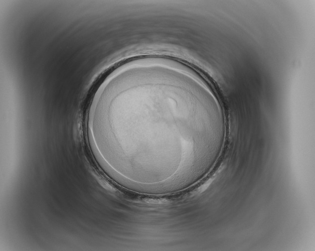 X0000115541498200911131533