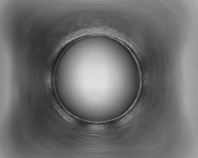 X0000115541499200911131533