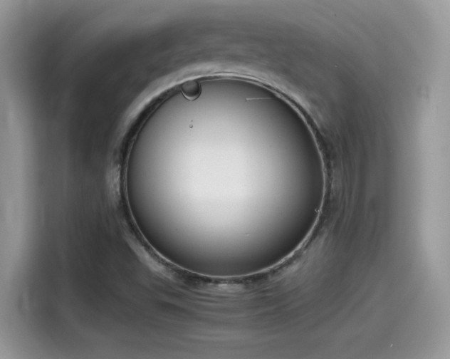 X0000115541503200911131533