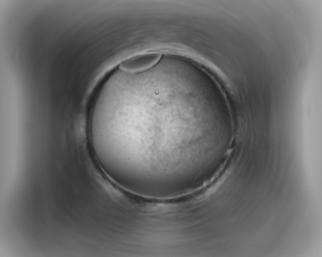 X0000115541506200911131534