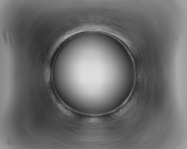 X0000115541507200911131534