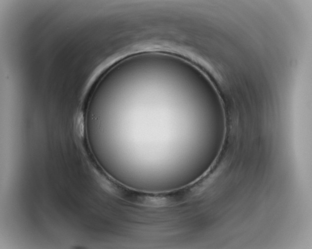 X0000115541509200911131534