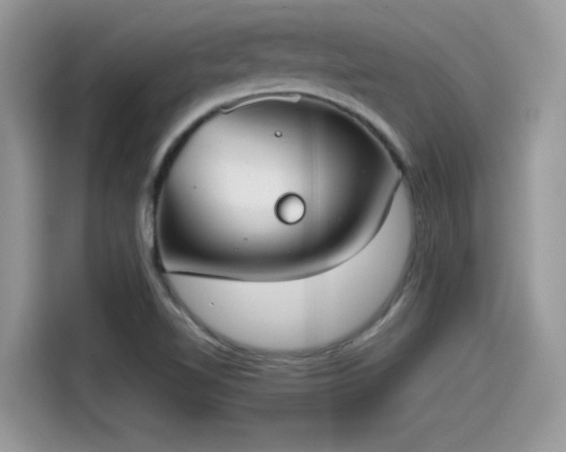 X0000115541510200911131534