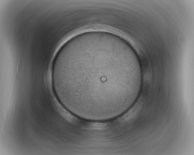 X0000115541514200911131534