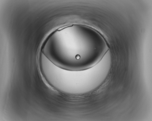 X0000115541515200911131534