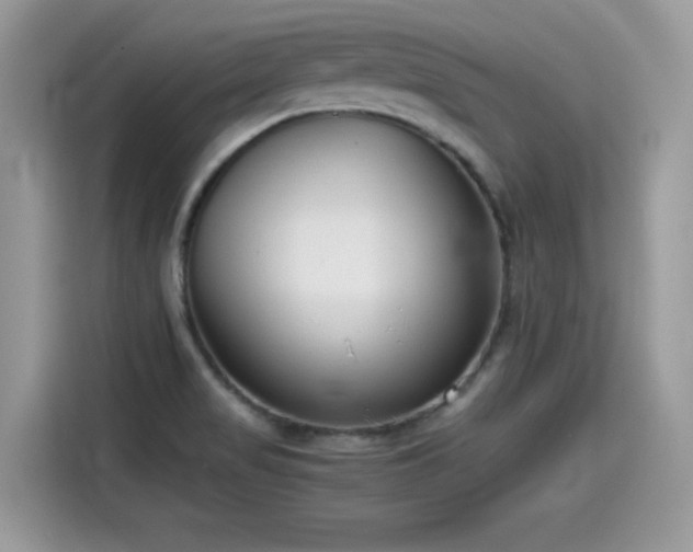 X0000115541517200911131534