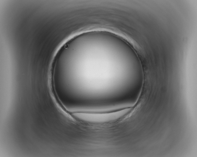 X0000115541518200911131534