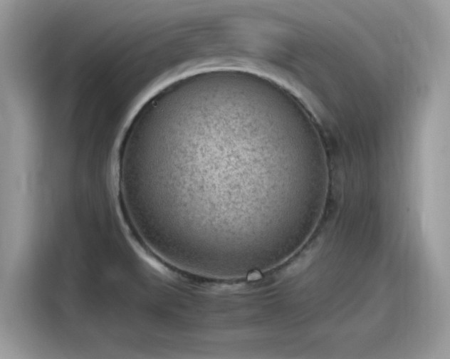 X0000115541519200911131534